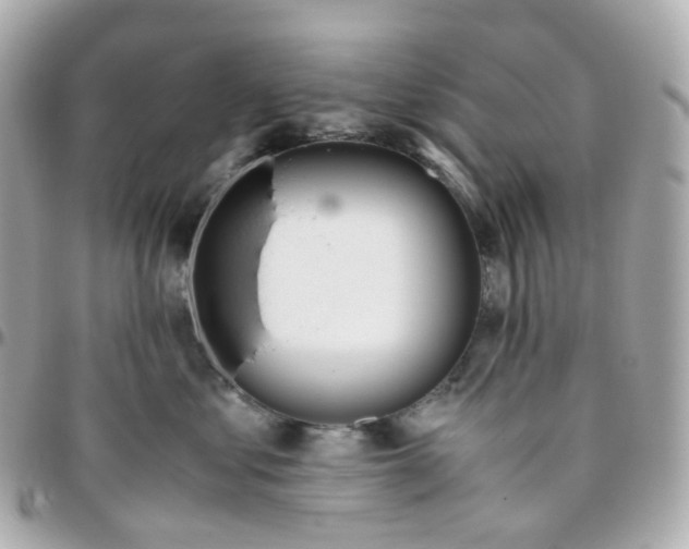 X0000095890621200802011108