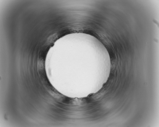 X0000095890623200802011108