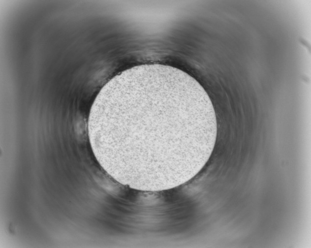 X0000095890624200802011108