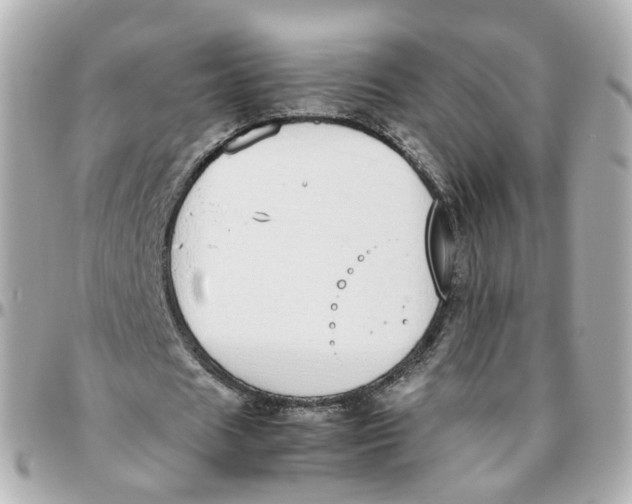 X0000095890625200802011107