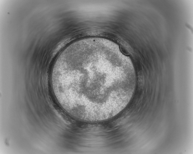 X0000095890626200802011107