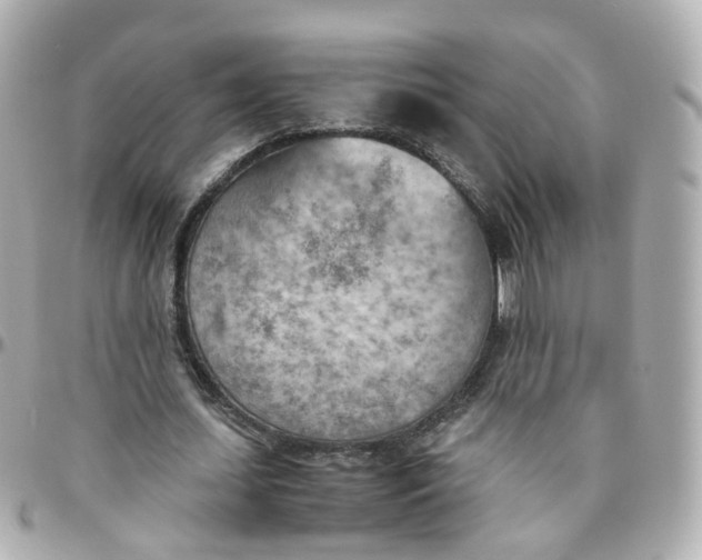 X0000095890627200802011107