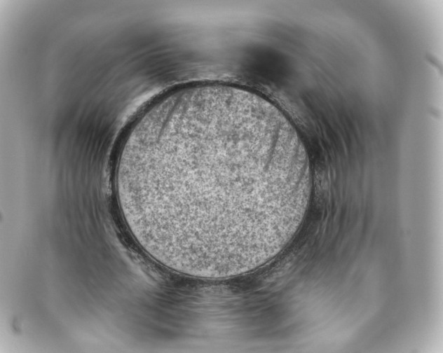 X0000095890628200802011107