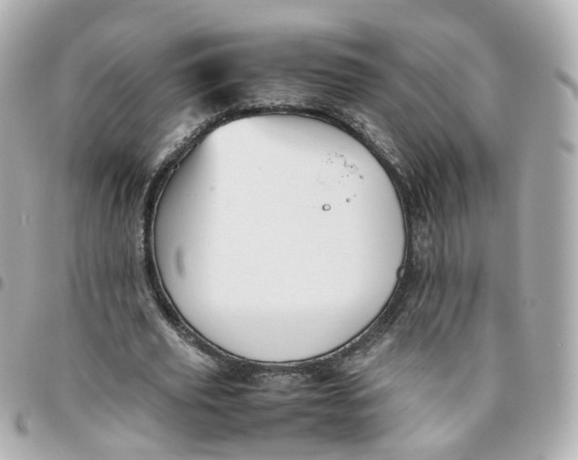 X0000095890629200802011107