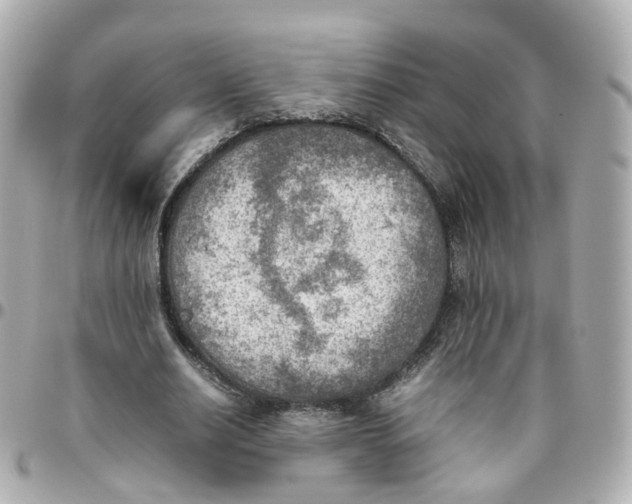 X0000095890630200802011107