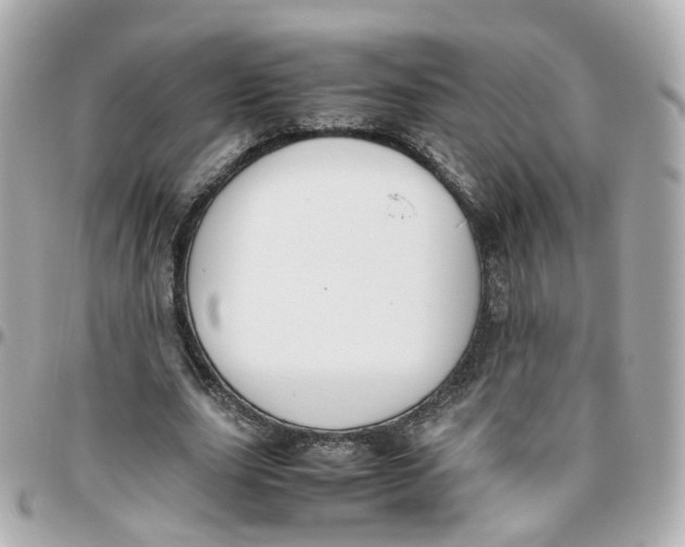 X0000095890631200802011107