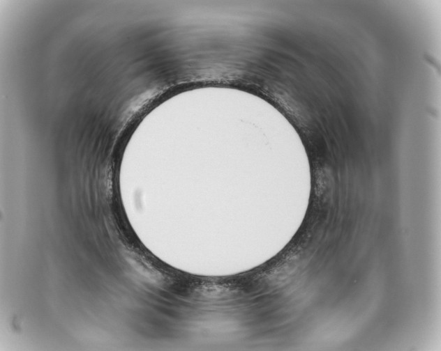 X0000095890632200802011107