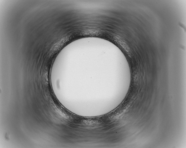 X0000095890633200802011107