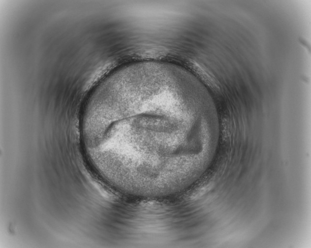 X0000095890634200802011107