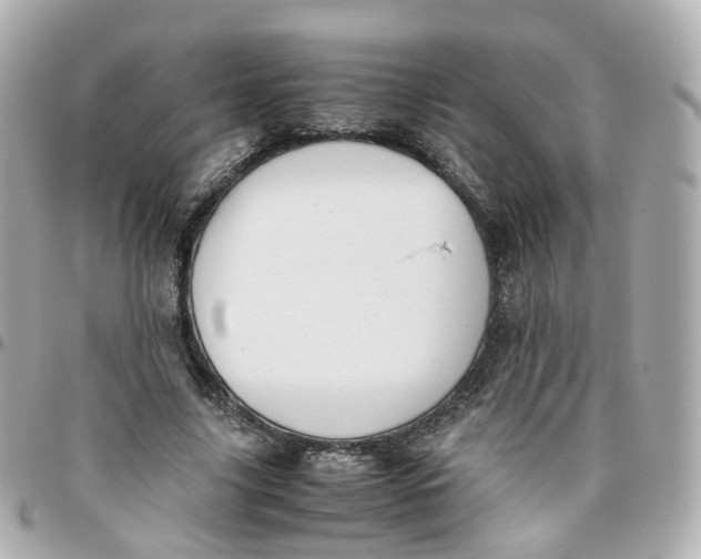 X0000095890635200802011107