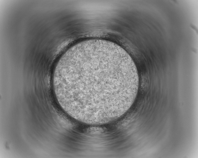 X0000095890636200802011107