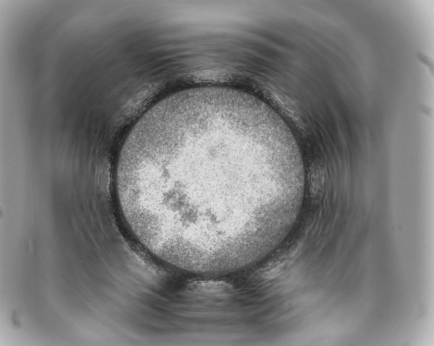 X0000095890637200802011107