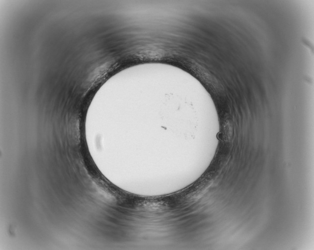 X0000095890638200802011107