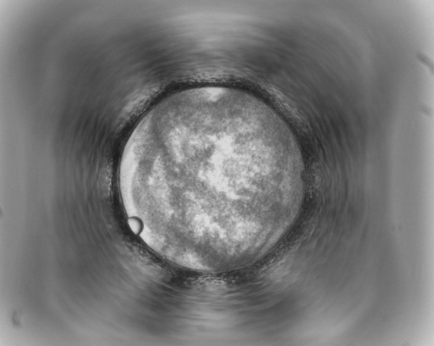 X0000095890640200802011107