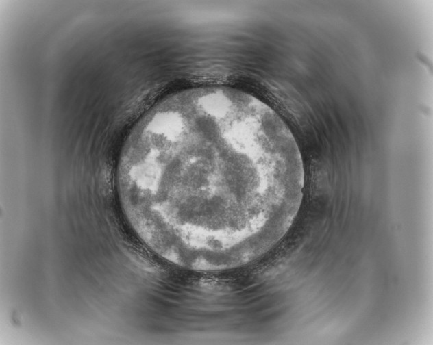 X0000095890641200802011107