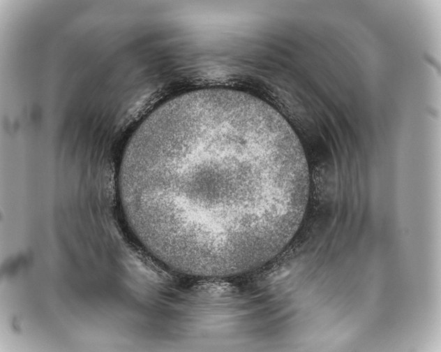 X0000095890642200802011107