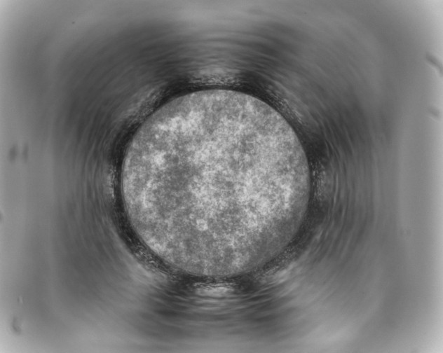 X0000095890643200802011107