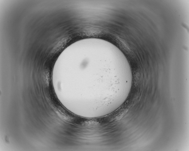 X0000095890644200802011107