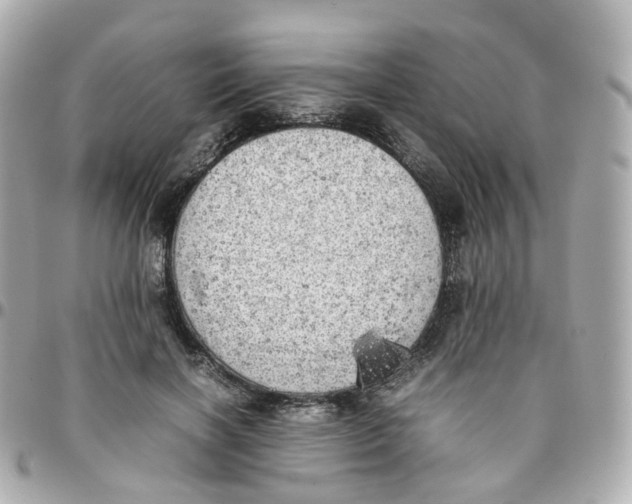 X0000095890646200802011107