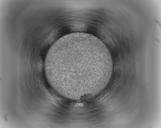 X0000095890647200802011107