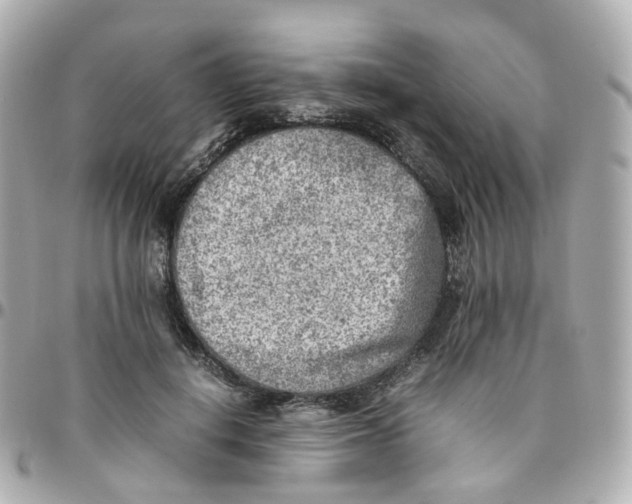 X0000095890648200802011107