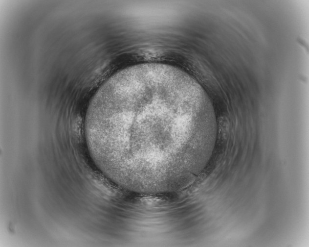 X0000095890650200802011107