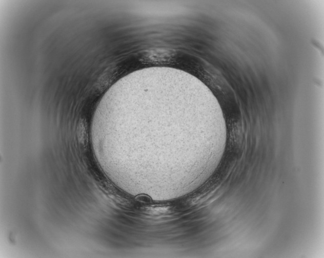 X0000095890651200802011107