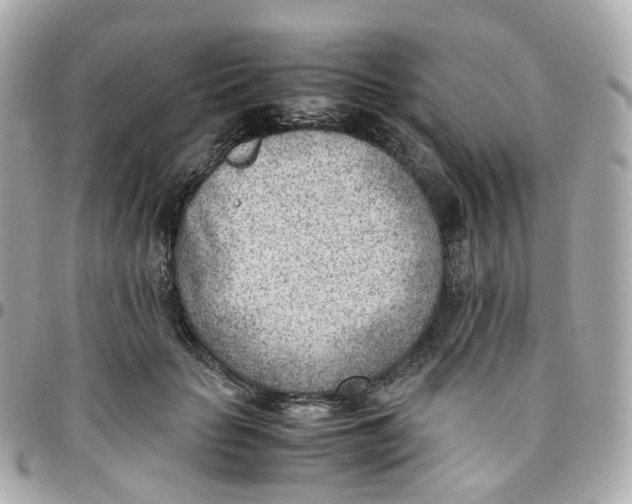 X0000095890653200802011107