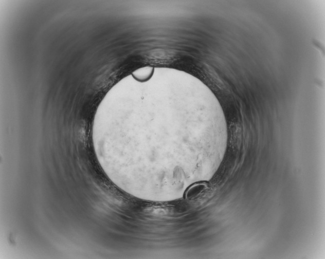 X0000095890655200802011108