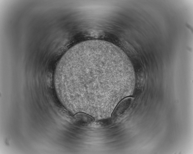 X0000095890656200802011108