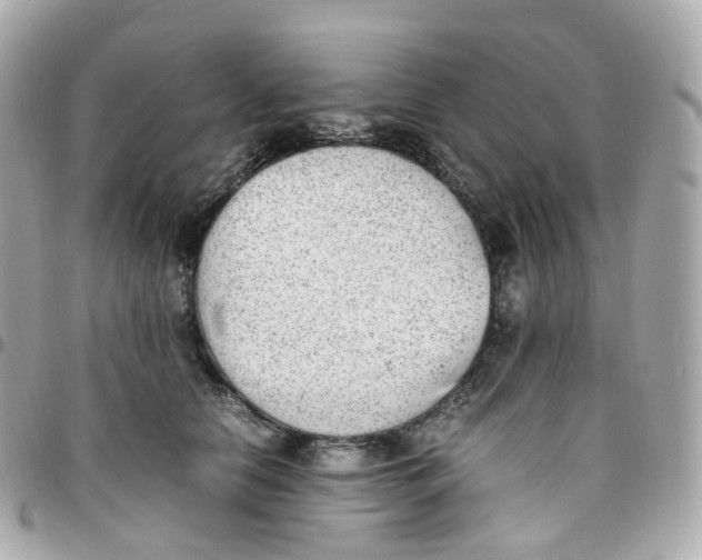 X0000095890658200802011108