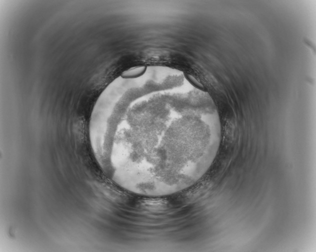 X0000095890659200802011108