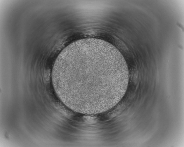 X0000095890660200802011108