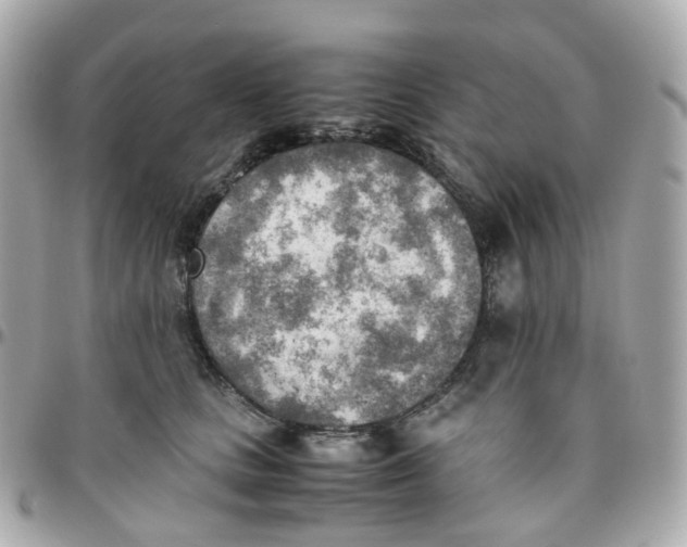 X0000095890661200802011108