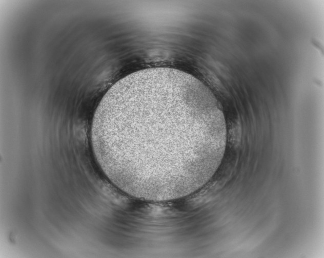 X0000095890662200802011108