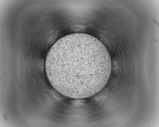 X0000095890664200802011108