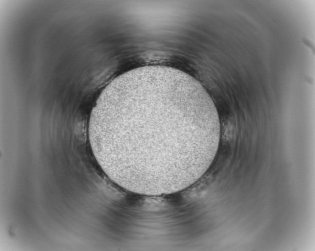 X0000095890666200802011108