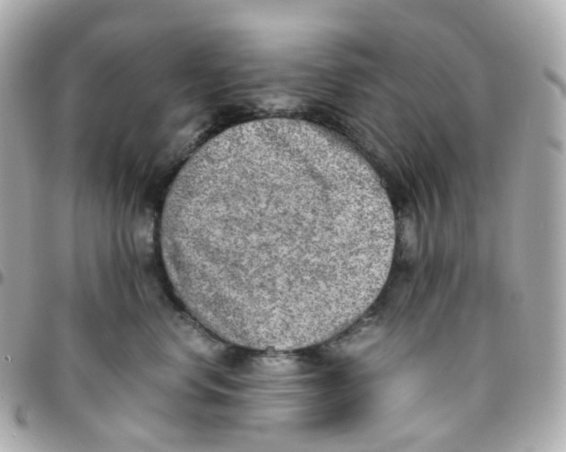 X0000095890668200802011108