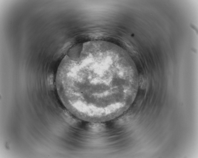 X0000095890670200802011108