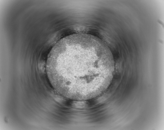 X0000095890671200802011108