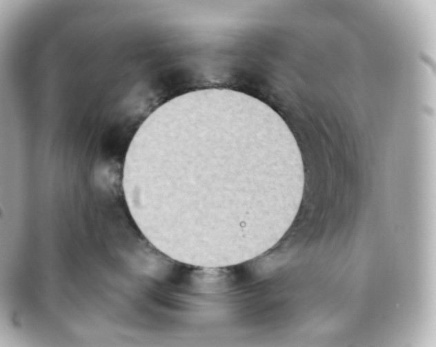 X0000095890672200802011108