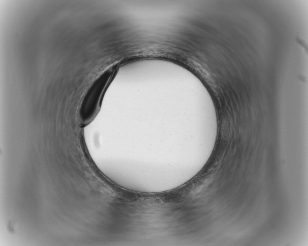 X0000095890673200802011107