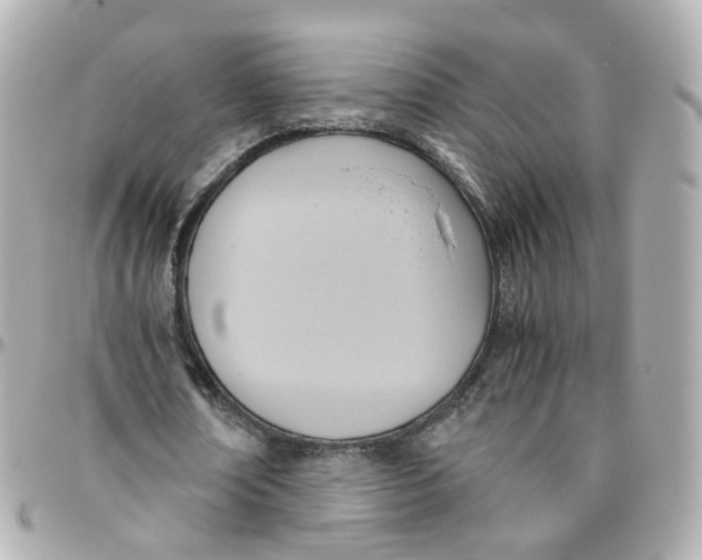 X0000095890674200802011107