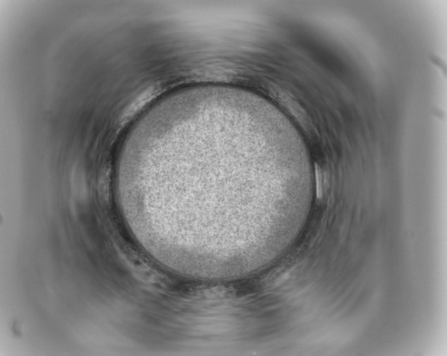 X0000095890675200802011107