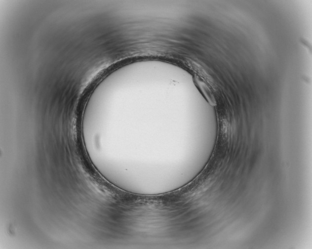 X0000095890676200802011107