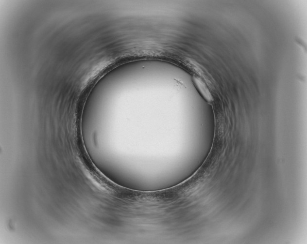 X0000095890677200802011107