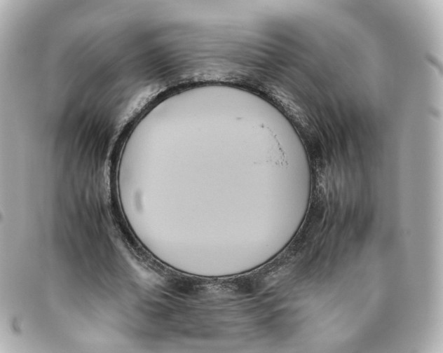 X0000095890678200802011107