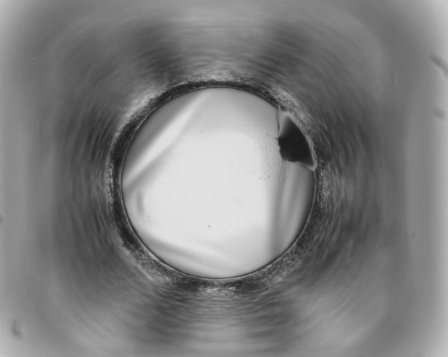 X0000095890680200802011107