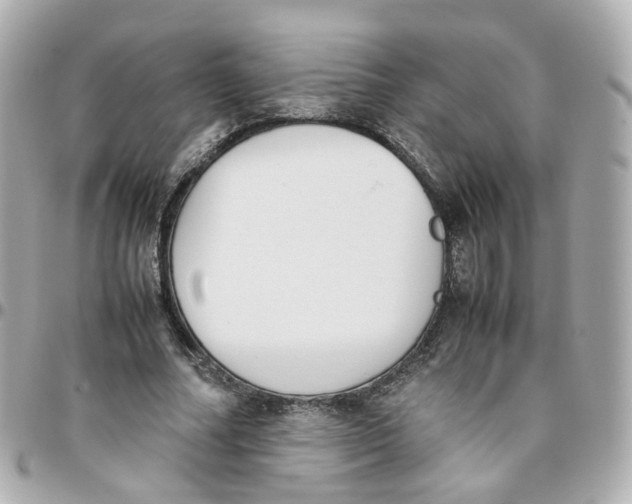 X0000095890682200802011107