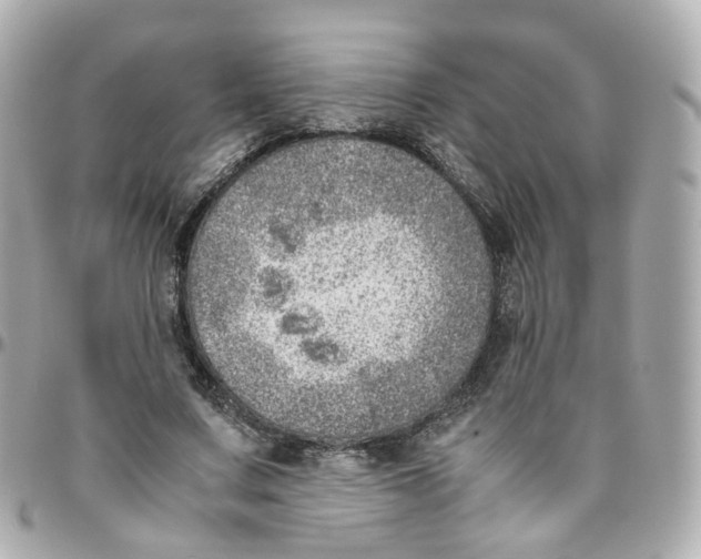 X0000095890683200802011107